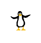 pingouin pirouette